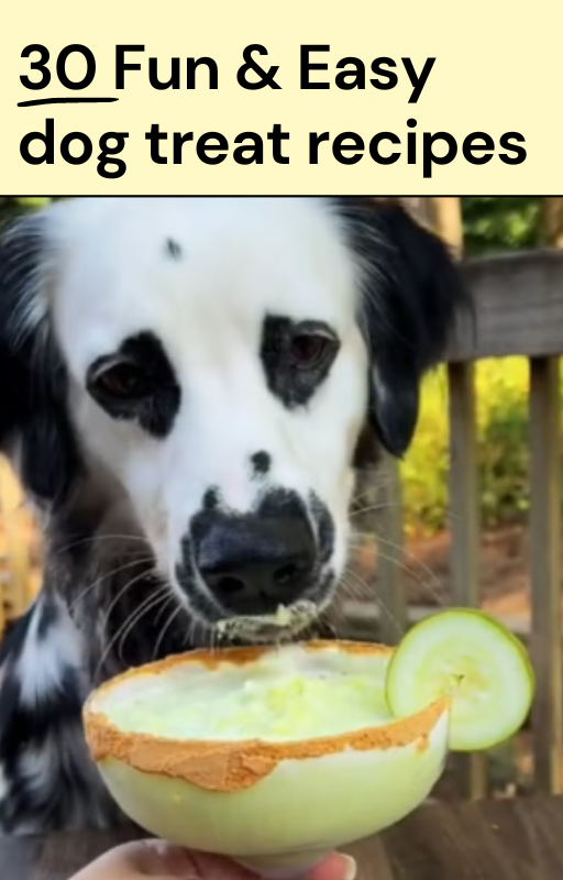 30 Dog Treat Recipes eBook